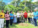 tanam pohon
